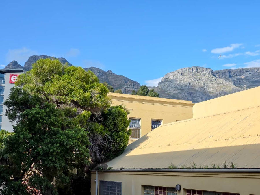 3 Bedroom Property for Sale in Zonnebloem Western Cape